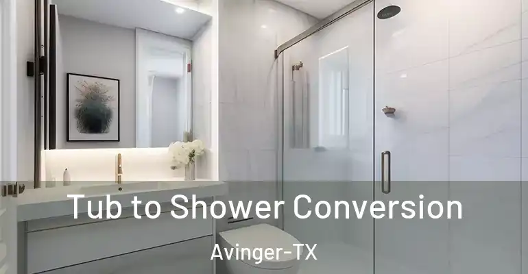 inner Bathroom imggen Tub to Shower Conversion Avinger-TX