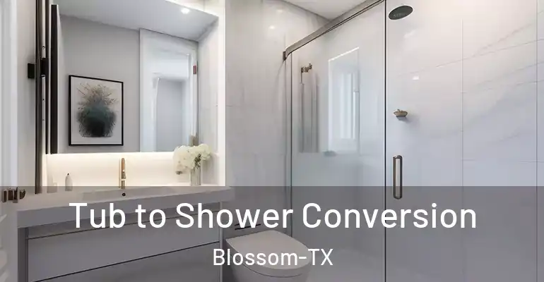 inner Bathroom imggen Tub to Shower Conversion Blossom-TX