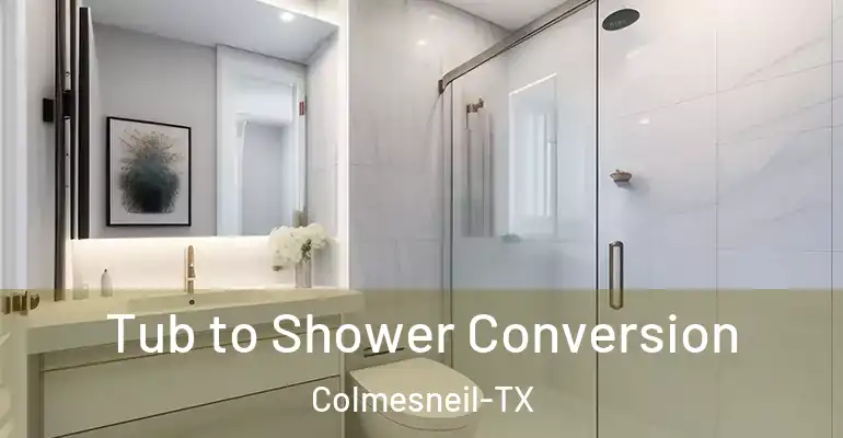 inner Bathroom imggen Tub to Shower Conversion Colmesneil-TX