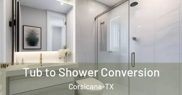 inner Bathroom imggen Tub to Shower Conversion Corsicana-TX