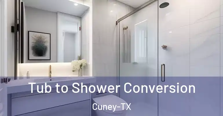 inner Bathroom imggen Tub to Shower Conversion Cuney-TX