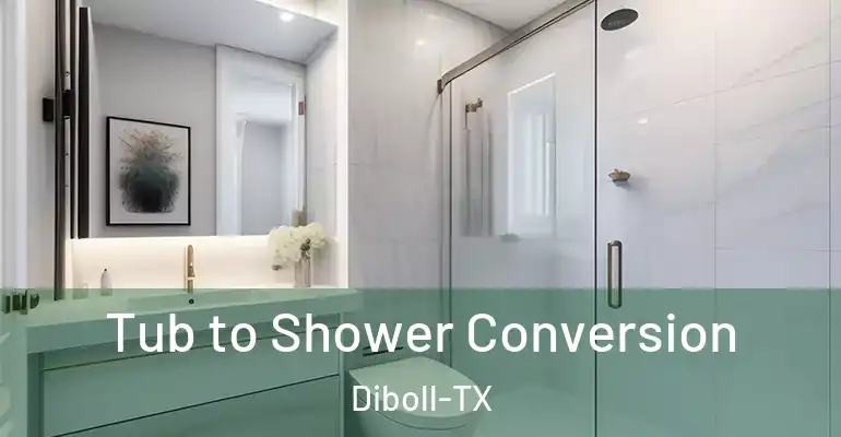 inner Bathroom imggen Tub to Shower Conversion Diboll-TX