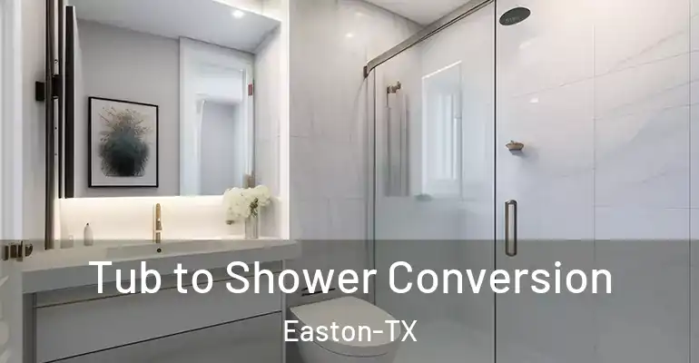inner Bathroom imggen Tub to Shower Conversion Easton-TX
