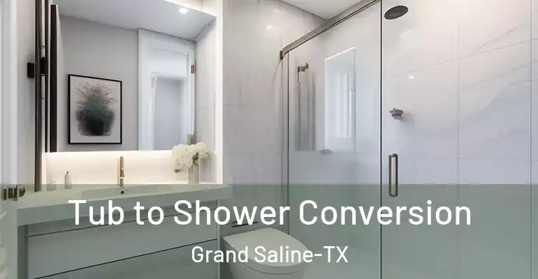 inner Bathroom imggen Tub to Shower Conversion Grand Saline-TX