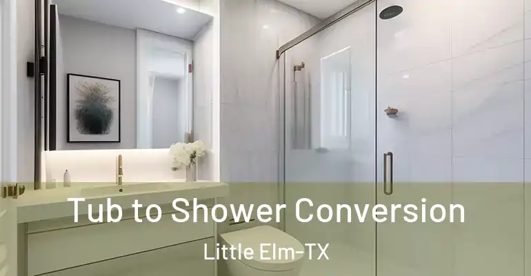 inner Bathroom imggen Tub to Shower Conversion Little Elm-TX