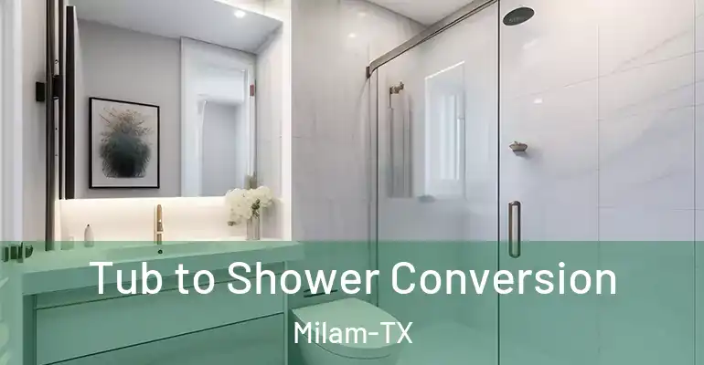 inner Bathroom imggen Tub to Shower Conversion Milam-TX