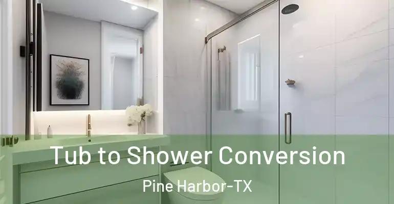 inner Bathroom imggen Tub to Shower Conversion Pine Harbor-TX
