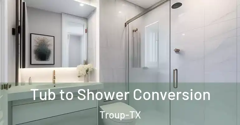 inner Bathroom imggen Tub to Shower Conversion Troup-TX