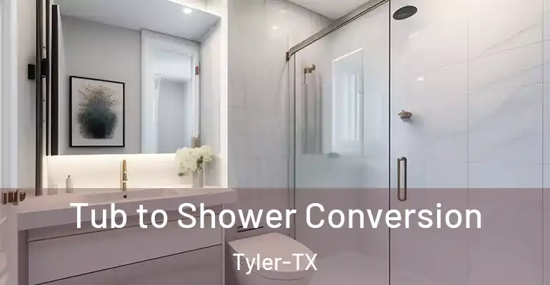 inner Bathroom imggen Tub to Shower Conversion Tyler-TX
