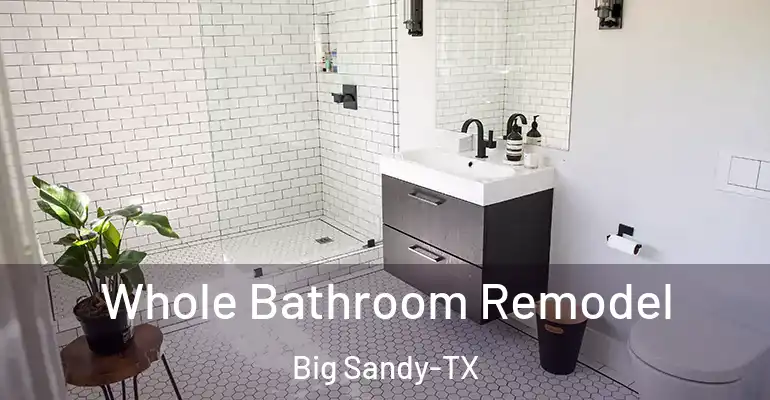 inner Bathroom imggen Whole Bathroom Remodel Big Sandy-TX