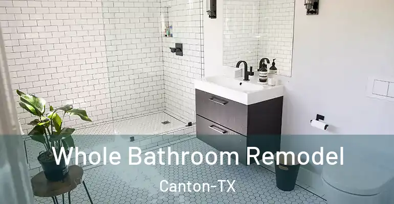 inner Bathroom imggen Whole Bathroom Remodel Canton-TX