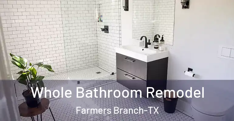 inner Bathroom imggen Whole Bathroom Remodel Farmers Branch-TX