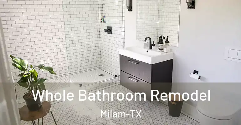 inner Bathroom imggen Whole Bathroom Remodel Milam-TX