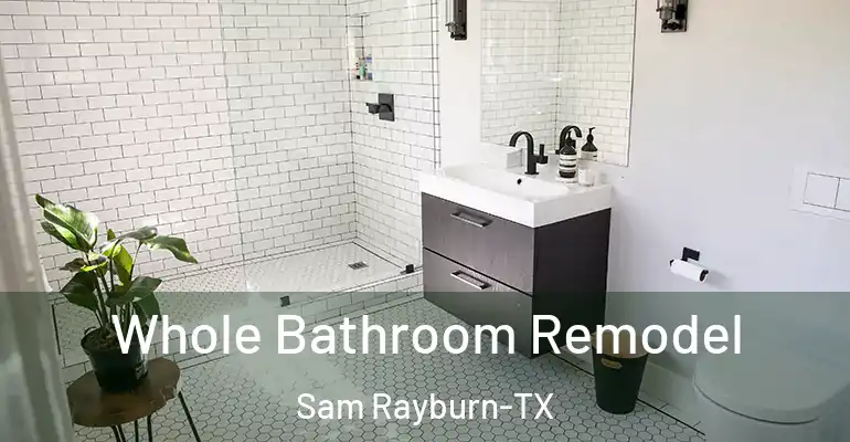 inner Bathroom imggen Whole Bathroom Remodel Sam Rayburn-TX