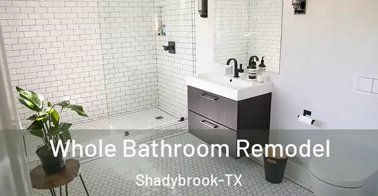 inner Bathroom imggen Whole Bathroom Remodel Shadybrook-TX